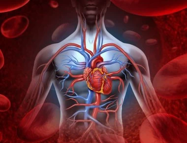 Κι όμως είναι αλήθεια: Ανακαλύφθηκε νέο όργανο μέσα στο ανθρώπινο σώμα